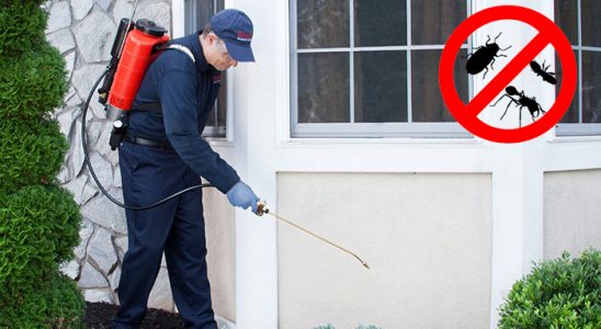 Alaçatı Dezenfeksiyon böcek ilaçlama ve haşere kontrolü — ilaclama-tr.com